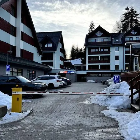 Bile Labe V Centru Mesta *