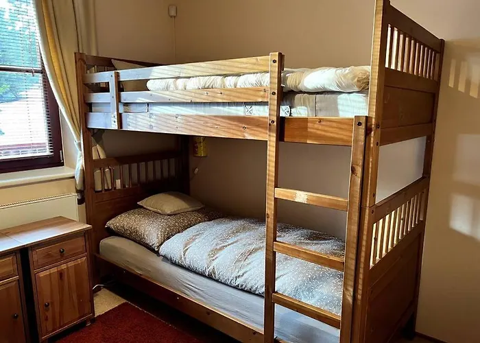 Bile Labe V Centru Mesta