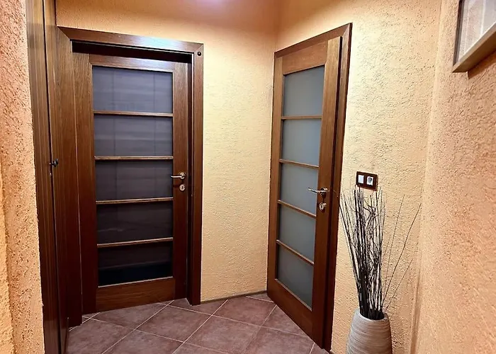 Bile Labe V Centru Mesta Daire *