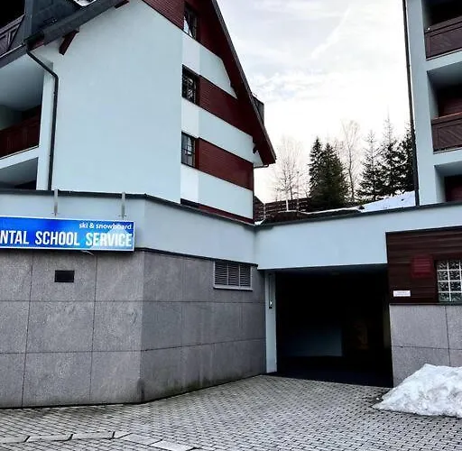 Bile Labe V Centru Mesta Daire