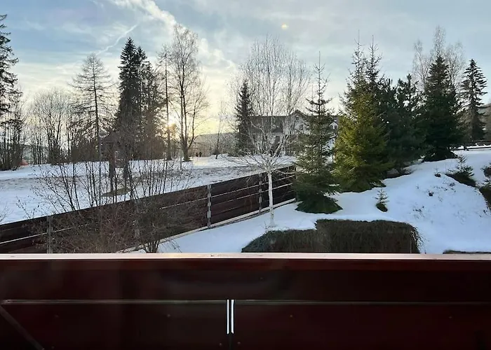 Bile Labe V Centru Mesta Daire *