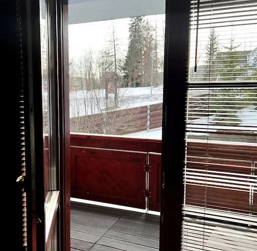 Bile Labe V Centru Mesta Daire